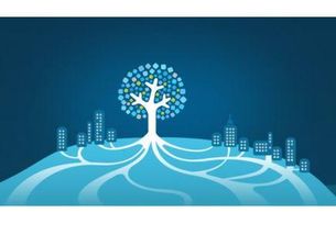 你投出的廣告效果真有業(yè)務員說的那么神嗎